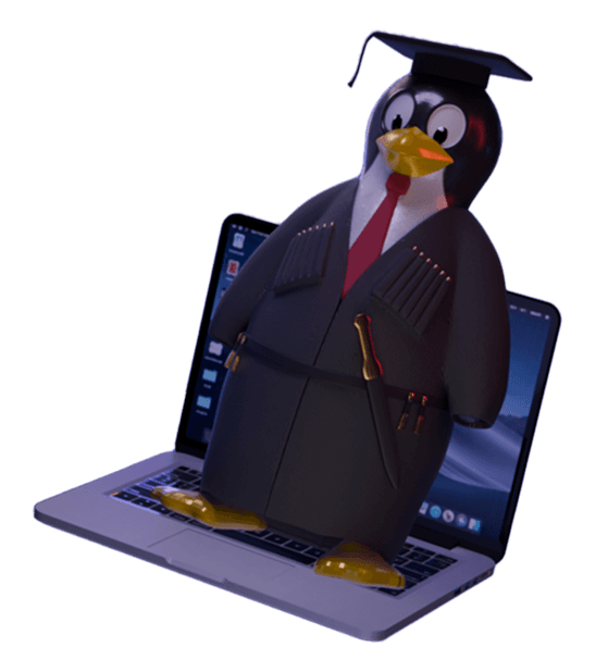 stem penguin